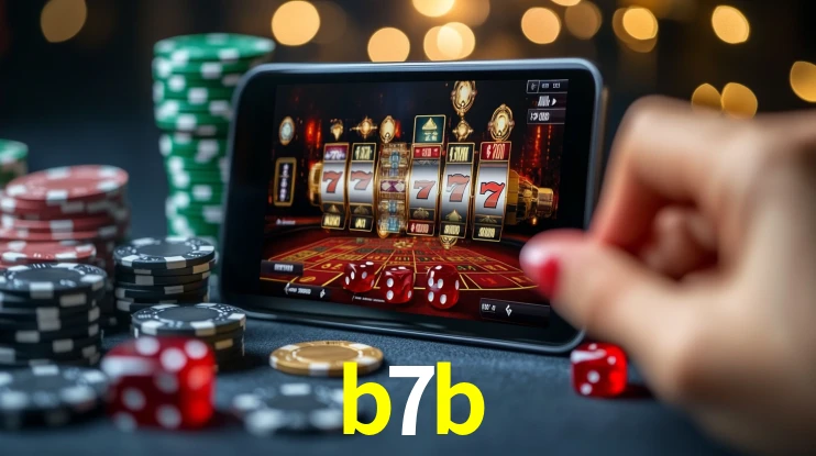 Premium Interface b7b